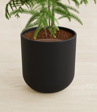Load image into Gallery viewer, Stone Black stand:all