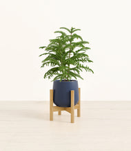 Load image into Gallery viewer, Deep Navy stand:bamboo