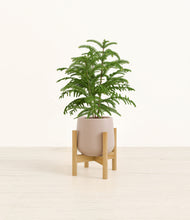 Load image into Gallery viewer, Eternal Gray stand:bamboo