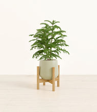 Load image into Gallery viewer, Turquoise stand:bamboo
