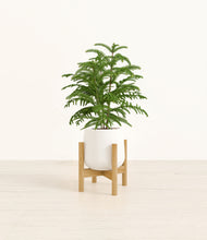 Load image into Gallery viewer, White stand:bamboo