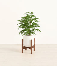 Load image into Gallery viewer, White stand:walnut