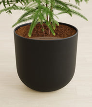 Load image into Gallery viewer, Stone Black stand:all