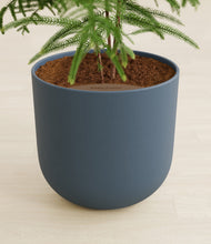 Load image into Gallery viewer, Iron Gray stand:all