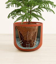 Load image into Gallery viewer, Earth Red