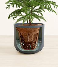 Load image into Gallery viewer, Iron Gray