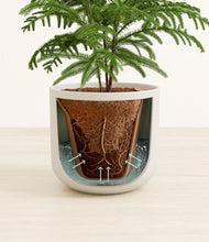 Load image into Gallery viewer, Natural Bamboo