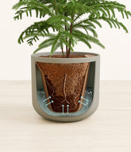 Load image into Gallery viewer, Sage Green