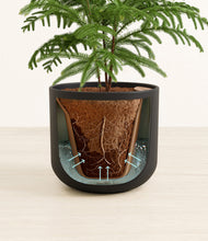 Load image into Gallery viewer, Stone Black