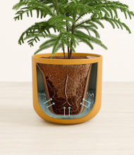 Load image into Gallery viewer, Sunset Orange