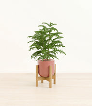Load image into Gallery viewer, Hammered Rose Pink stand:bamboo