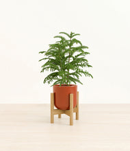 Load image into Gallery viewer, Glossy Red stand:bamboo