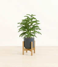 Load image into Gallery viewer, Iron Gray stand:bamboo