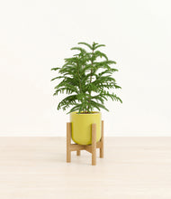 Load image into Gallery viewer, Key Lime Yellow stand:bamboo