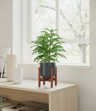Load image into Gallery viewer, Iron Gray stand:walnut