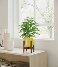 Load image into Gallery viewer, Key Lime Yellow stand:walnut