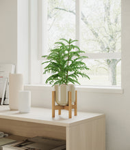 Load image into Gallery viewer, Sage Green stand:bamboo
