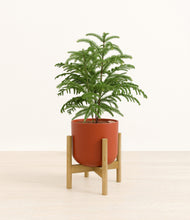 Load image into Gallery viewer, Earth Red stand:bamboo