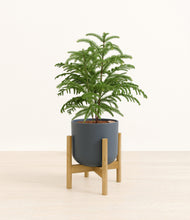 Load image into Gallery viewer, Iron Gray stand:bamboo