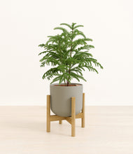 Load image into Gallery viewer, Sage Green stand:bamboo
