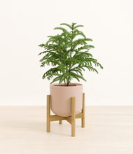 Load image into Gallery viewer, Sandy Pink stand:bamboo