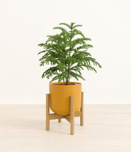 Load image into Gallery viewer, Sunset Orange stand:bamboo