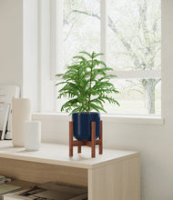Load image into Gallery viewer, Twilight Blue stand:walnut