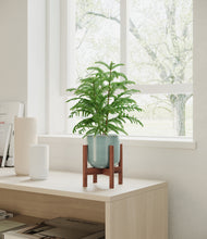 Load image into Gallery viewer, Reactive Aqua stand:walnut