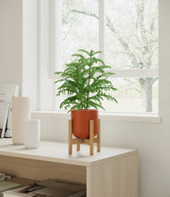 Load image into Gallery viewer, Earth Red stand:bamboo
