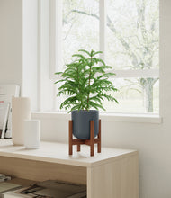 Load image into Gallery viewer, Iron Gray stand:walnut