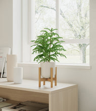 Load image into Gallery viewer, Natural Bamboo stand:bamboo