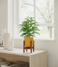 Load image into Gallery viewer, Sunset Orange stand:walnut