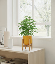 Load image into Gallery viewer, Sunset Orange stand:bamboo