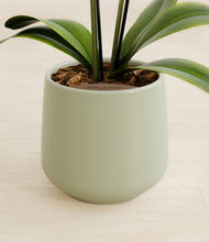Load image into Gallery viewer, Turquoise stand:all