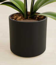 Load image into Gallery viewer, Black stand:all