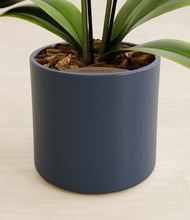 Load image into Gallery viewer, Deep Navy stand:all