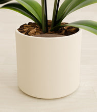 Load image into Gallery viewer, Cream stand:all