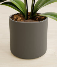 Load image into Gallery viewer, Dark Olive stand:all