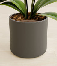 Load image into Gallery viewer, Dark Olive stand:all