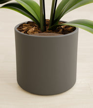 Load image into Gallery viewer, Dark Olive stand:all