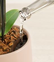 Load image into Gallery viewer, Gentle Pink stand:all