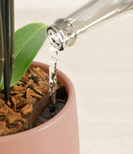 Load image into Gallery viewer, Calm Rose stand:all