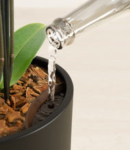 Load image into Gallery viewer, Black stand:all