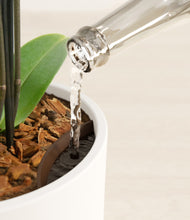 Load image into Gallery viewer, White stand:all