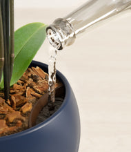 Load image into Gallery viewer, Deep Navy stand:all