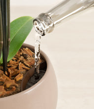 Load image into Gallery viewer, Desert Brown stand:all