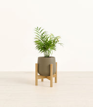Load image into Gallery viewer, Olive stand:bamboo