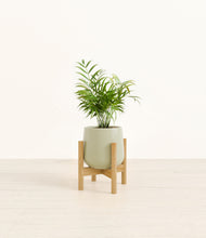 Load image into Gallery viewer, Turquoise stand:bamboo