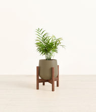 Load image into Gallery viewer, Olive stand:walnut