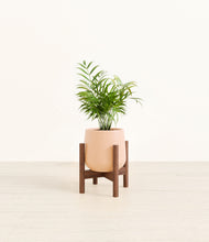 Load image into Gallery viewer, Gentle Pink stand:walnut